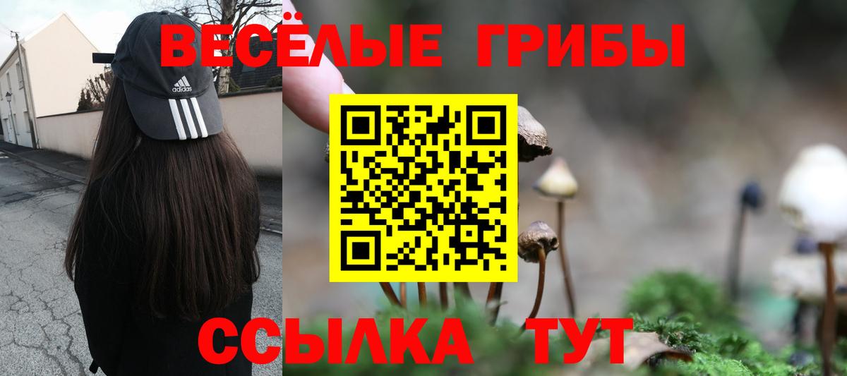 закладки  Псилоцибиновые грибы прущие грибы  Краснокамск  Вход с VPN  Псилоцибиновые грибы ЛСД 
